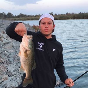 Meet your Posher, Roy